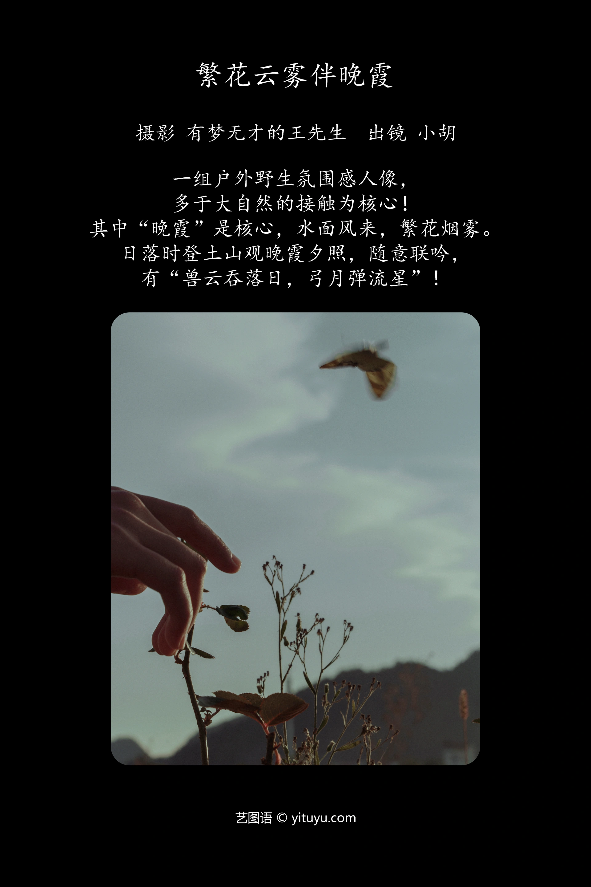 [YITUYU艺图语]2023.12.16 繁花云雾伴晚霞 小胡 0
